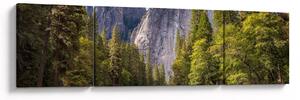 Obraz - Pod Yosemite skálou (170x50 cm)