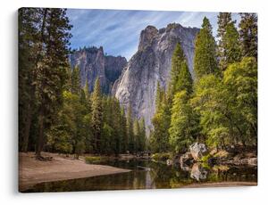 Obraz - Pod Yosemite skálou (70x50 cm)