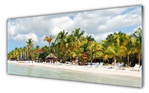 Akrylový obraz Pláž Palma Stromy Krajina 125x50 cm