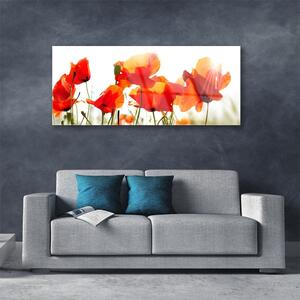 Akrylový obraz Máky Rostlina Příroda 125x50 cm