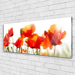 Akrylový obraz Máky Rostlina Příroda 125x50 cm