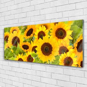 Akrylový obraz Slunečnice 125x50 cm