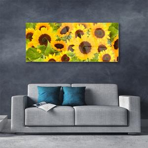 Akrylový obraz Slunečnice 125x50 cm