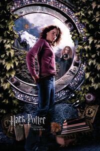 Umělecký tisk Harry Potter - Hermione