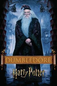 Umělecký tisk Harry Potter - Dumbledore