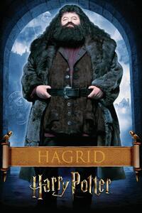 Umělecký tisk Harry Potter - Hargrid, (26.7 x 40 cm)