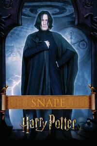 Umělecký tisk Harry Potter - Snape