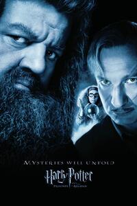Umělecký tisk Harry Potter - Hagrid & Lupin