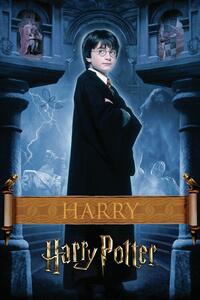 Umělecký tisk Harry Potter - Harry, (26.7 x 40 cm)