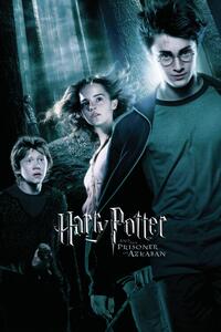 Umělecký tisk Harry Potter - Prisoner of Azkaban