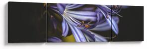 Obraz - Lila (170x50 cm)