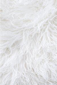 Bílá kožešina z tibetské ovce Bonami Selection, 60 x 90 cm