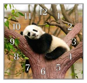 Nástěnné hodiny 30x30cm spící medvídek panda - plexi