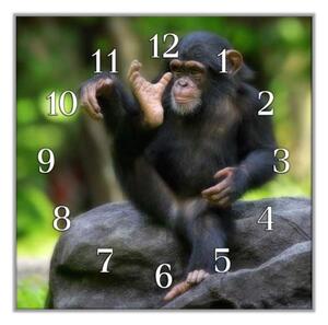 Nástěnné hodiny 30x30cm opice malý šimpanz - plexi