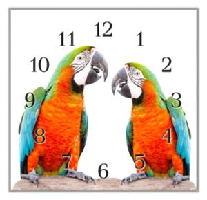 Nástěnné hodiny 30x30cm papoušek ara pár - plexi