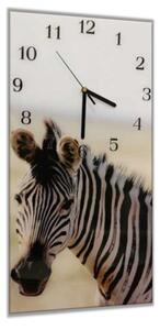 Nástěnné hodiny 30x60cm hlava zebry - plexi