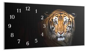 Nástěnné hodiny 30x60cm hlava zlatý tygr - plexi