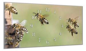 Nástěnné hodiny 30x60cm včely u včelínu - plexi
