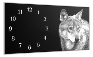 Nástěnné hodiny podélné 30x60cm šedý vlk - plexi