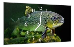 Nástěnné hodiny 30x60cm ryba pstruh - plexi