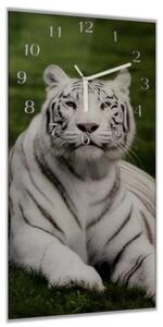 Nástěnné hodiny 30x60cm ležící bílý tygr na trávě - plexi