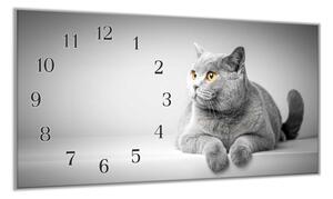 Nástěnné hodiny 30x60cm šedá Britská kočka - plexi