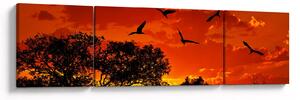 Obraz ptáků při západu slunce (170x50 cm)