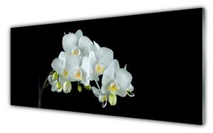 Akrylový obraz Květiny Rostlina Příroda 125x50 cm
