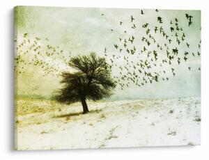 Obraz - Malované hejno ptáků (70x50 cm)
