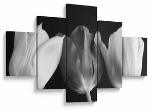Obraz - Černobílé květy tulipánů (125x70 cm)
