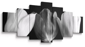 Obraz - Černobílé květy tulipánů (210x100 cm)