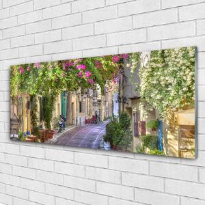 Akrylový obraz Aleje Květiny Domy Rostlina 125x50 cm