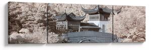 Obraz - Rozkvetlé stromy v Asii (170x50 cm)