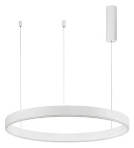 Nova Luce Závěsné LED svítidlo MOTIF, ø 80cm, 50W 2700-6000K stmívatelné Barva: Černá