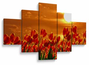 Obraz rozkvetlého lánu s tulipány (125x70 cm)