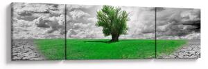 Obraz - Kus přírody ve městě (170x50 cm)