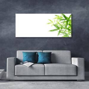 Akrylový obraz Listy Příroda Rostlina 125x50 cm