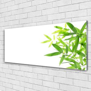 Akrylový obraz Listy Příroda Rostlina 125x50 cm