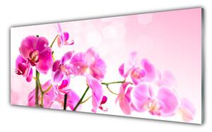 Akrylový obraz Květiny Rostlina Příroda 125x50 cm