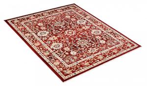 Krásný červený koberec ve stylu vintage Šírka: 200 cm | Dĺžka: 305 cm