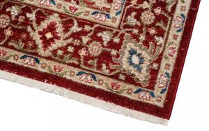 Elegantní červený koberec Šírka: 200 cm | Dĺžka: 305 cm