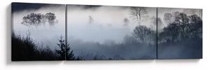 Obraz mlhy nad lesem (170x50 cm)