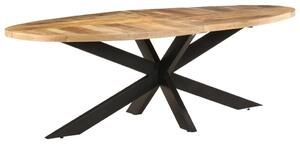 Jídelní stůl 240 x 100 x 75 cm hrubé mangovníkové dřevo