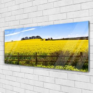 Akrylový obraz Pole Rostlina Krajina 125x50 cm