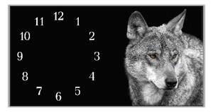 Nástěnné hodiny podélné 30x60cm šedý vlk - plexi