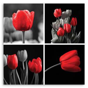 Obraz na plátně Sada červených tulipánů Rozměry: 30 x 30 cm