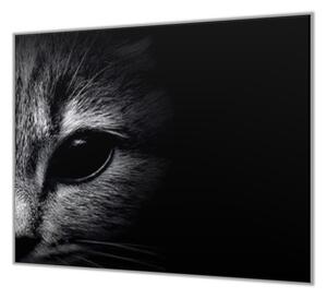 Ochranná deska detail hlavy kočky černobílé - 40x40cm / S lepením na zeď
