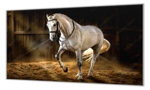 Ochranná deska bílý kůň ve stáji - 52x60cm / S lepením na zeď