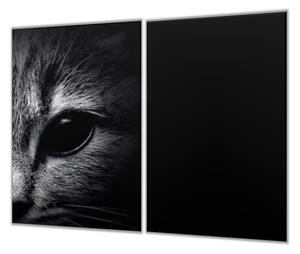 Ochranná deska detail hlavy kočky černobílé - 50x70cm / S lepením na zeď