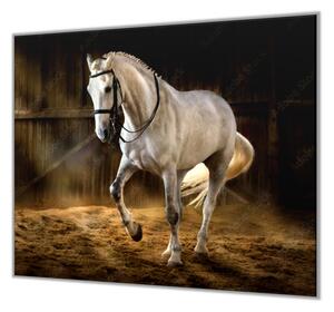 Ochranná deska bílý kůň ve stáji - 52x60cm / S lepením na zeď